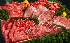 肉の横綱　伊賀牛まるごと食べ尽くし cook0044