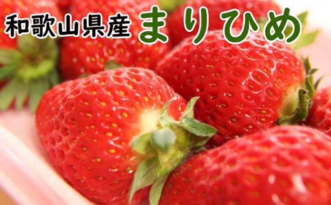 【4月発送】和歌山県産ブランドいちご「まりひめ」約300g×2パック入り