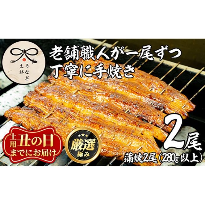 【0263708a-2607】＜丑の日までにお届け！＞鹿児島県産東串良町のうなぎ蒲焼・秘伝のタレ付き(2尾・計280g以上) うなぎ 高級 ウナギ 鰻 国産 蒲焼 蒲焼き たれ 鹿児島 うな重 うな丼 土用の丑の日 【うなぎ太郎】