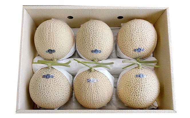 クラウンメロン【上（山等級）】特大玉（1.5kg前後）6玉入り 人気 厳選 ギフト 贈り物 デザート グルメ 果物 袋井市 果物類 メロン青肉 フルーツ