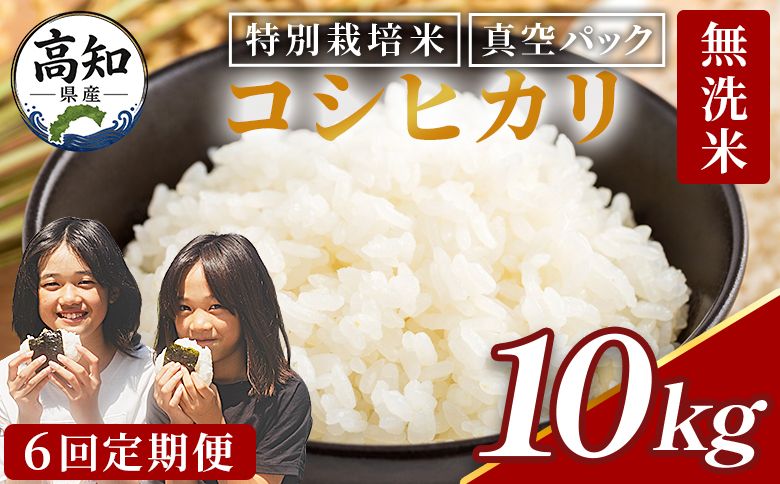 コシヒカリ 10kg[6回定期便]令和8年産 高知県香南市産 特別栽培米 国産 米 お米 こしひかり 白米 どうぞ ごはん おにぎり ご飯 防災 非常食 備蓄 kome 高知県 香南市 常温 Wnu-0016