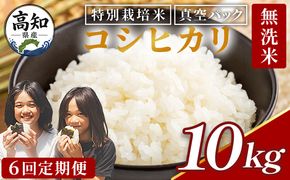 コシヒカリ 10kg【6回定期便】令和8年産 高知県香南市産 特別栽培米  国産 米 お米 こしひかり 白米 どうぞ ごはん おにぎり ご飯 防災 非常食 備蓄 kome 高知県 香南市 常温 Wnu-0016