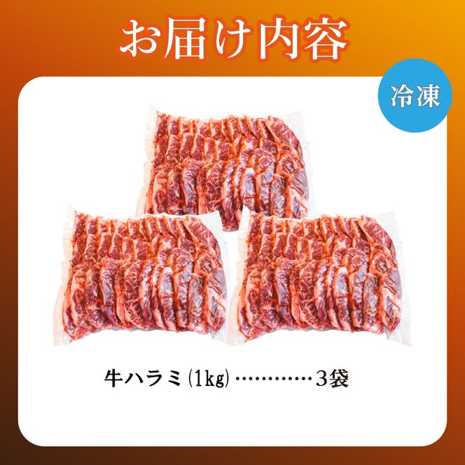 牛ハラミ 1kg×3袋 | 牛肉 ビーフ 厚切り 熟成 冷凍 大容量 焼肉 厚さ約8mm 牛 肉 お肉 精肉 スライス BBQ バーベキュー おかず おつまみ 北海道 滝川市