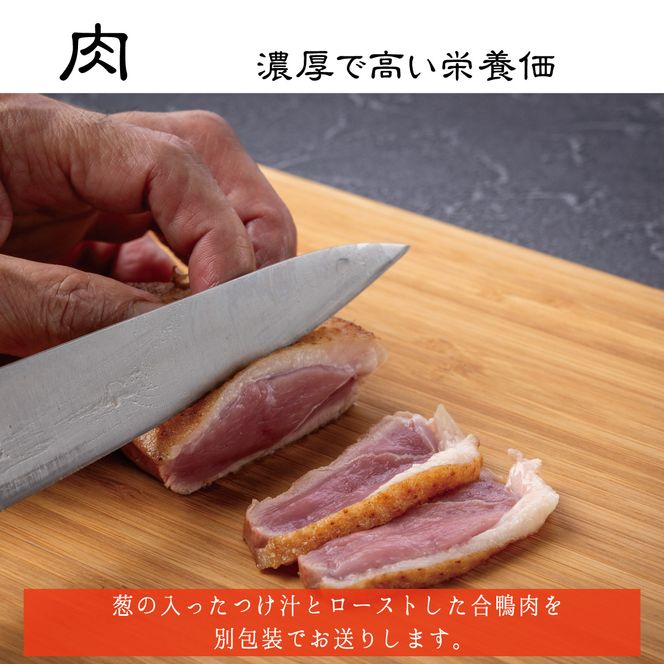 常陸 秋そば 10人前 鴨つけ蕎麦 手打ち 国産 生 そば 蕎麦 鴨 カモ 鴨肉 鴨汁