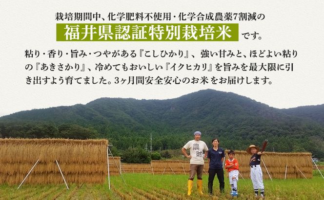 米 定期便 3ヶ月 農賊王のお宝分け 10kg 高島屋選定品 コシヒカリ こしひかり あきさかり イクヒカリ お米 おこめ こめ コメ 白米 精米 ご飯 ごはん 福井県 福井 3回 お楽しみ 