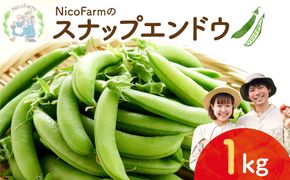 【先行予約：2026年6月上旬頃より発送】甘くてシャキシャキ！ おやつ感覚で食べられる スナップエンドウ 1Kg えんどう豆 夏野菜 おつまみ お弁当 旬の野菜 産地直送 NicoFarm_Y124-0048