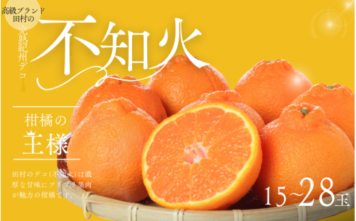 ya̎RÍ쒬zuhc̊nIBfR(sm)@2026N2{?2026N3{ɏ\(͂ws) sm ݂  fR a̎R IB k ʂ  ʕ t[c yuot731z