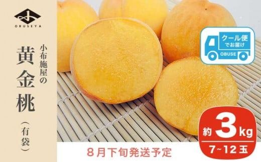 黄金桃（有袋） 約3kg 7～12玉 ［小布施屋］ 桃 もも モモ フルーツ 果物 令和7年産 【2025年8月下旬発送】 ［A-214］