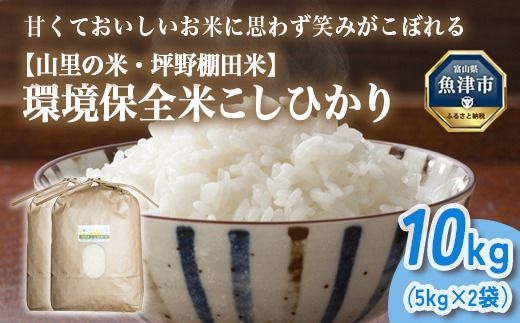 山の湧き水 寒暖差 山里 山里の米･坪野米 R8年産 環境保全米こしひかり 10kg　※北海道・沖縄・離島への配送不可 ※2026年10月～発送