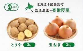 小笠原農園の有機野菜 2種詰合せ（とうや3kg・玉ねぎ3kg）北海道 十勝 幕別《2026年秋出荷先行予約》【 野菜 芋 じゃがいも とうや 玉ねぎ たまねぎ セット 】