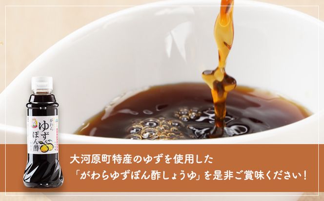 大河原町観光物産協会 特産品Eセット 加工食品 調味料 梅シロップ ゆずぽん酢しょうゆ ゆずとうがらし 調味料セット 詰め合わせ 