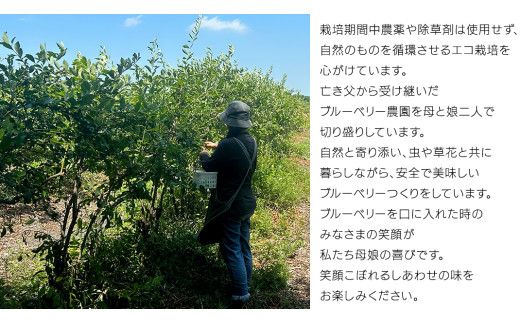 《 先行予約 》 冷凍 ブルーベリー 400g×3袋 【2026年7月上旬頃より発送開始】 冷凍 大粒 フルーツ 果物 くだもの おやつ 無農薬 農薬不使用 お取り寄せ 贈り物 ジャム スムージー [BK003us]