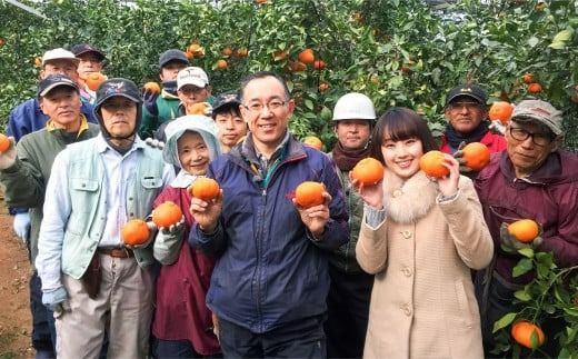 【先行予約】【家庭用】早生みかん 5kg ※離島への配送不可 （2026年11月10日より順次発送） IKTA040
