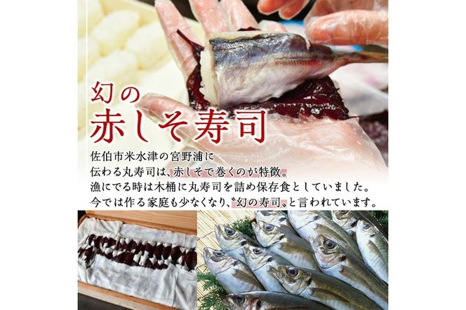 赤しそ寿司 (4-5貫入り×4セット) 鯵 あじ しそ 寿司 すし 名物 お土産 冷凍 惣菜 おつまみ 手作り 冷凍寿司 大分県 佐伯市【DH231】【(株)ネクサ】