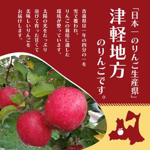【平均糖度13度以上】3月発送 家庭用 訳あり CA貯蔵 サンふじ 約 5kg りんご リンゴ 林檎 果物 フルーツ わけあり 青森