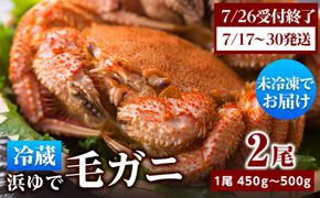 ★期間限定★ 浜ゆで！毛ガニ 約400g～450g×2尾 チルド配送 7/17~7/30発送【斉藤水産】 北海道 冷蔵 チルド 毛蟹 カニ かに 白老 前浜