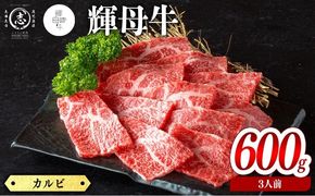輝母牛焼肉用(カルビ)(3人前600g/600g×1個) b9-005