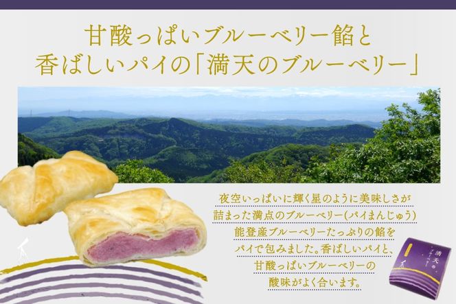 お菓子 個包装 満天のブルーベリー 10個入 [谷口製菓 石川県 宝達志水町 38601295] 菓子 焼菓子 菓子折り 和菓子 パイ スイーツ おかし おやつ 常温 ブルーベリー