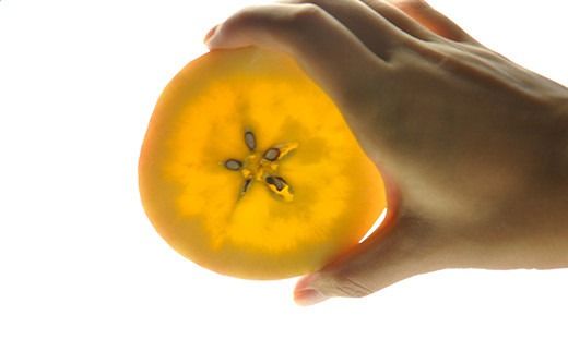 FYN9-688 《2026年先行予約》贈答用 山形県産 高徳 りんご 約2kg(6～12玉) 2026年10月下旬頃から順次発送 林檎 リンゴ 小玉 蜜 秋果実 果物 くだもの フルーツ 贈り物 ギフト プレゼント 化粧箱 産地直送 山形県 西川町 月山