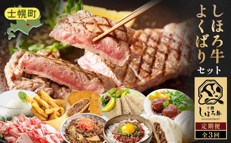 [CF]定期便 北海道 よくばりセット 全3回 しほろ牛 牛丼 牛肉まん コンビーフ カムカムステーキ ハンバーグ メンチカツ リオナソーセージ フライドポテト サーロイン 牛肉切り落とし アイスクリーム 総菜 冷凍 詰合せ お取り寄せ 送料無料 十勝 士幌町 50000円[L903]