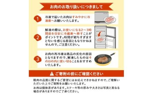 小分けで便利！鹿児島県産若鶏ムネ切身 計5kg(250g×20P) a5-372