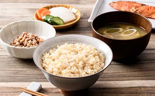 令和8年度米【コシヒカリ玄米5kg】横山ファーム 米 富山県立山町産 こしひかり 玄米 5kg 富山県 立山町 F6T-1109