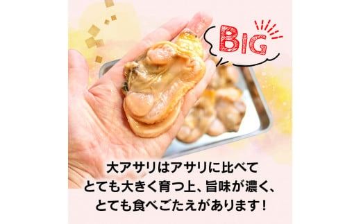 大あさり むき身 1kg ( 500g × 2パック ) 貝 海鮮 大 あさり むき身 魚介 海の幸 新鮮 冷凍 家族 夏 バーベキュー BBQ ホイル 焼き 鍋 揚げ物 炊き込み ご飯 ごはん 小分け 人気 おすすめ 愛知県 南知多町 【離島不可】