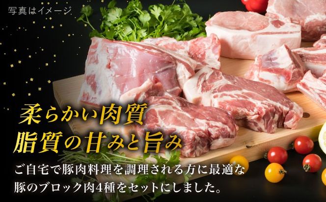 【全6回定期便】【 盛り合わせ 】 糸島産豚肉 ブロック 肉4品盛合せセット 約2.8kg 糸島市 / 糸島ミートデリ工房 [ACA279]