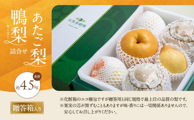 梨 2026年 先行予約 あたご梨・鴨梨（ヤーリー）詰合せ 合計約4.5kg あたご2～3玉 鴨梨3～7玉 贈答箱【11月下旬～12月中旬頃発送】 ナシ なし 岡山県産 国産 フルーツ 果物 ギフト 石原果樹園 食べ比べ 
