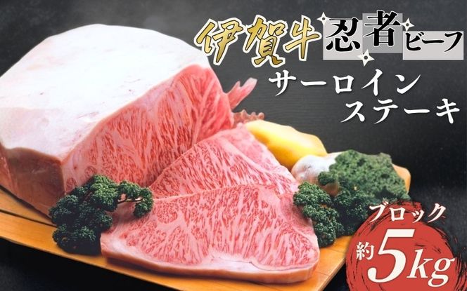 約5kgブロック 忍者ビーフ（伊賀牛）サーロインステーキ cook0020