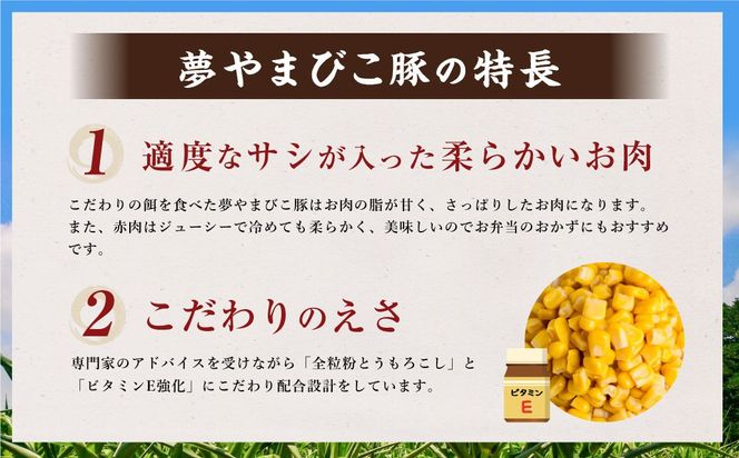 「夢やまびこ豚」厳選バラエティパック 1.0kg | 豚肉 肉 詰め合わせ セット トンカツ 小分け 真空パック 冷蔵 送料無料