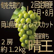 [HS]【定期便全2回】ぶどう先行予約7月・8月発送温室シャインマスカット晴王2房（合計約1.2kg）ブドウ 葡萄  岡山県産 国産 フルーツ 果物 ギフト デザート 食後 酸味が少ない 産地直送