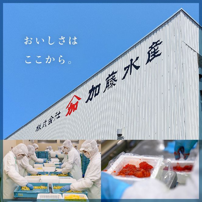 訳あり 塩たらこ･辛子明太子（500g×各2パック） 切子セットR002-019