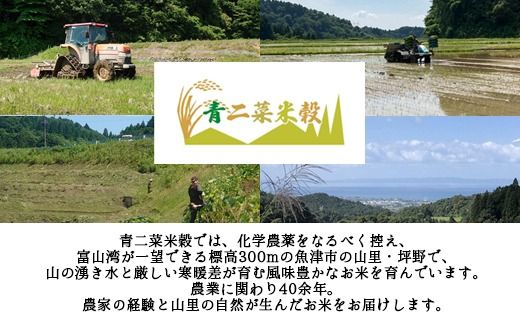 山の湧き水 寒暖差 山里 山里の米･坪野棚田米 R7年産 てんこもり15kg（5kg×3） ※北海道・沖縄・離島への配送不可