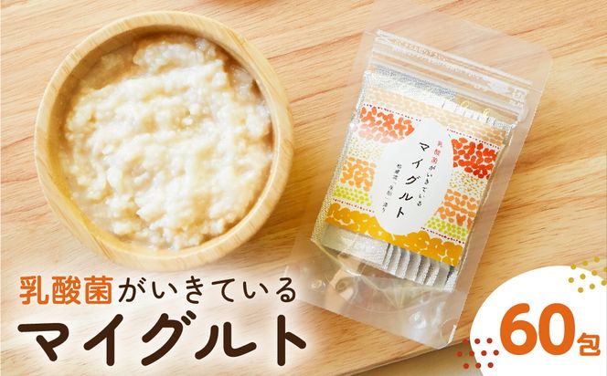 乳酸菌がいきているマイグルト　1ｇ×60包 【kw0134-0068】