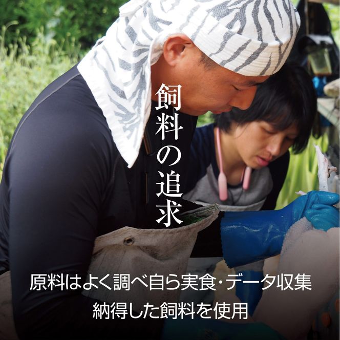 京都・ささ鳥　京美白どりBBQとりにくセット 