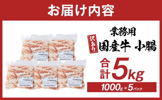 《業務用・訳アリ》国産牛　小腸　5kg 372013_HM181