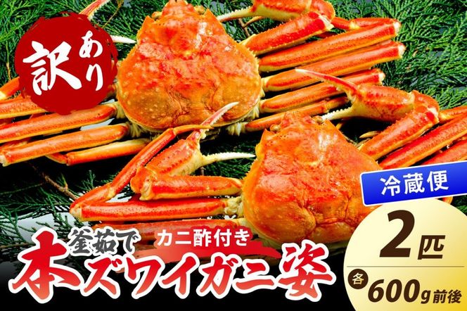 【大好評！カニ酢付き】訳あり！釜茹で！本ずわいがに姿 2匹（600g前後×2匹）　YK00443