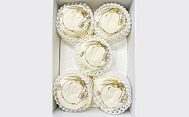 【ふるプレ限定品】梨 2026年 先行予約 あたご梨 3-6玉 青秀以上 (約4kg) 化粧箱入り
