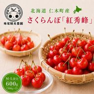 2027年発送 北海道 仁木町産 さくらんぼ 「紅秀峰」 M-L混合 600g (300g×2パック) 国産 旬のフルーツ 旬の果物 デザートサクランボ チェリー フルーツ 果物 果物類 仁木 [フルーツショップ妹尾観光農園] 
