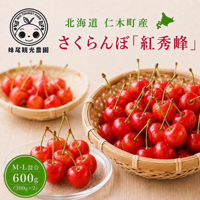 2027年発送 北海道 仁木町産 さくらんぼ 「紅秀峰」 M-L混合 600g (300g×2パック) 国産 旬のフルーツ 旬の果物 デザートサクランボ チェリー フルーツ 果物 果物類 仁木 [フルーツショップ妹尾観光農園] 