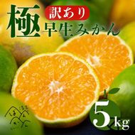【訳あり】愛媛みかん （ 極早生 ） 5kg【発送時期：９月下旬～】2S-Lサイズ サイズミックス 愛媛みかん 温州みかん 一番みかん 柑橘 みかん 愛媛県 愛南町 清家ばんかんビレッジ