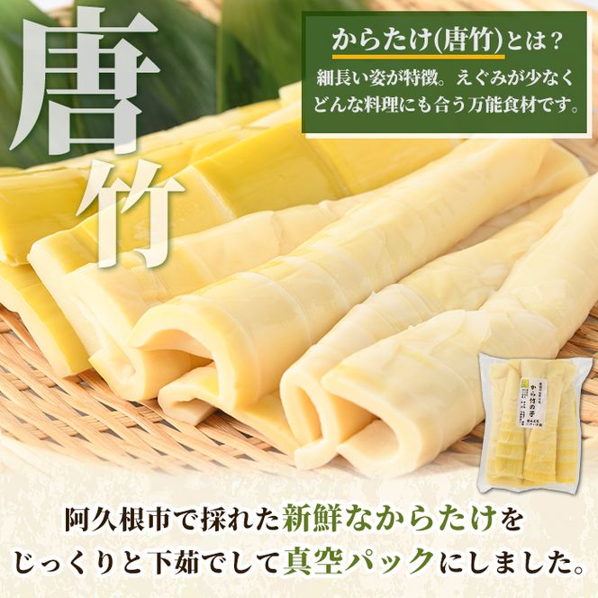 真空パックたけのこ(約1.5kg・500g×3P) 国産 野菜 たけのこ タケノコ 淡竹 ハチク はちく 唐竹 カラタケ からたけ 筍 旬 煮物 天ぷら つくだ煮【あくね旬の店いきいき館】akn015-22