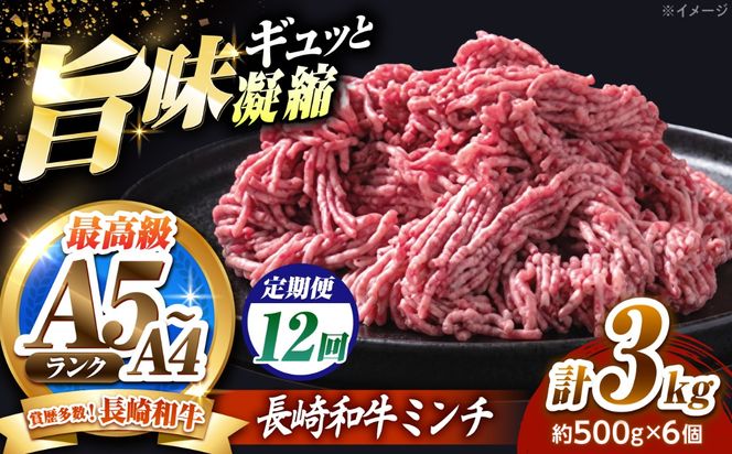 【12回定期便】長崎和牛ミンチ 3kg（500g×6）/ 小分け ミンチ 挽き肉 ひき肉 牛肉 ハンバーグ 個包装 / 南島原市 KRAZY MEAT[SHF060]