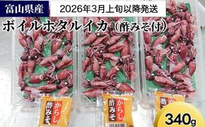 【2026年3月上旬以降発送】富山県産ボイルホタルイカ340g（酢みそ付）【棚辺水産】　※2026年3月上旬～5月中旬頃に順次発送予定　※離島への配送不可