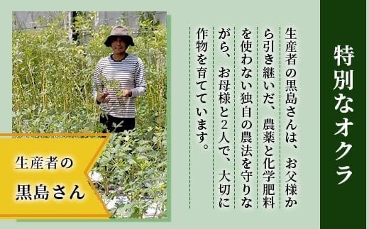 希少！黒島さんの採れたてオクラ100本セット（特別栽培、栽培期間中農薬不使用）10月下旬以降順次発送【 沖縄県 石垣市 沖縄 石垣島 おくら オクラ 野菜 採れたて フレッシュ 夏野菜 冬野菜 南国 離島のいいもの 沖縄いいもの石垣島 】OI-7