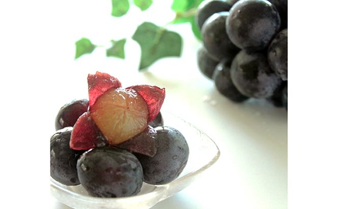 ぶどう 2026年 先行予約 ニューピオーネ 約600g 1房 葡萄 岡山県 赤磐市産 フルーツ 果物 あかいわファーマーズガーデン