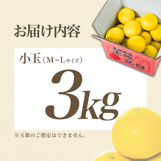 【日本ギフト大賞2024受賞】【先行予約】園主こだわりの土佐文旦3キロ 小玉（L～Mサイズ） 2027年1月下旬より順次発送 家庭用 贈答用 ぶんたん ブンタン 柑橘 みかん【やの一果彩】 [BQAC016]