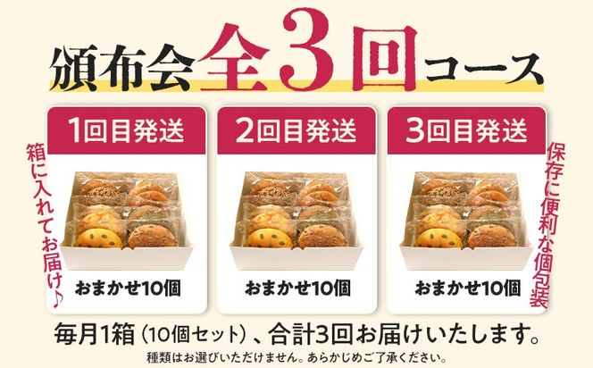 【頒布会】ベーグルおまかせ10個セット（月1回／全3回） ベーグル パン 詰め合わせ セット 冷凍  ご当地グルメ 福岡 九州 お土産 取り寄せ グルメ 福岡土産 食べ物 朝食 お取り寄せ ご当地 福岡県 食品 特産品 田川市