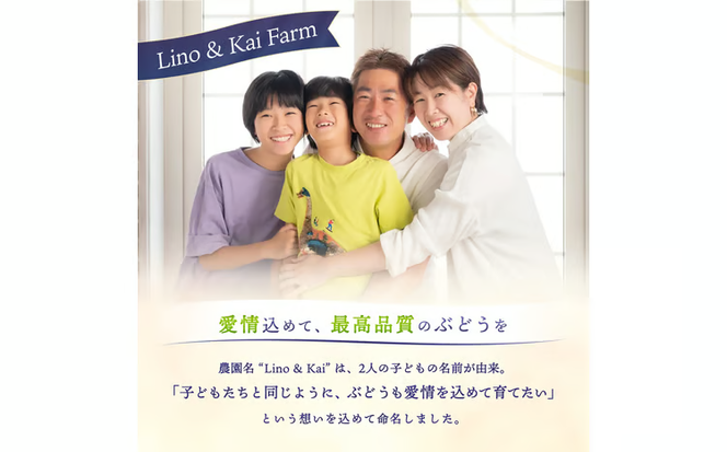 【2026年先行予約】 【ご贈答用】Lino＆Kai Farmのシャインマスカット２房 （1.4㎏前後） 化粧箱入 / 朝採れ ぶどう 岡山 真庭市 シャインマスカット 高級 ギフト 大粒 果物 贈答 人気 産地直送 国産 数量限定 種なし 【linokai010-02】